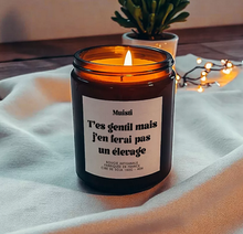 Charger l'image dans la galerie, Bougie -   T'es gentil mais j'en ferai pas un élevage
